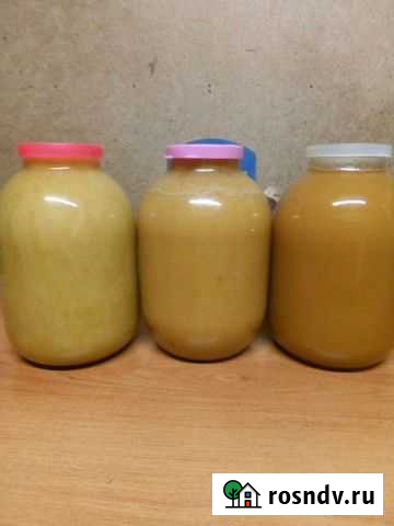 Центробежный мед напрямую с пасеки Долгопрудный - изображение 1