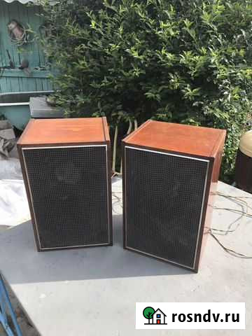 Акустические колонки Вега -101 Томск - изображение 1