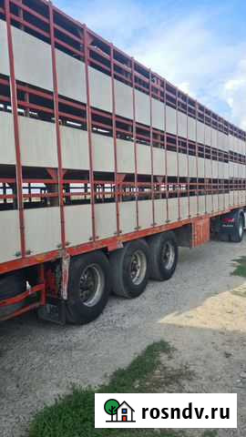 Полуприцеп для перевозки скота Cuppers LVO 11-24, 1991 Старый Оскол - изображение 1