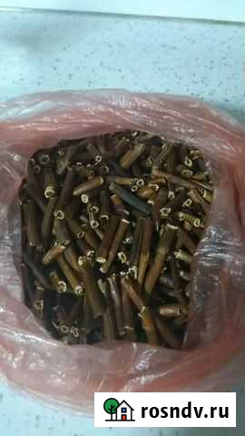 Сабельник корень Обнинск - изображение 1