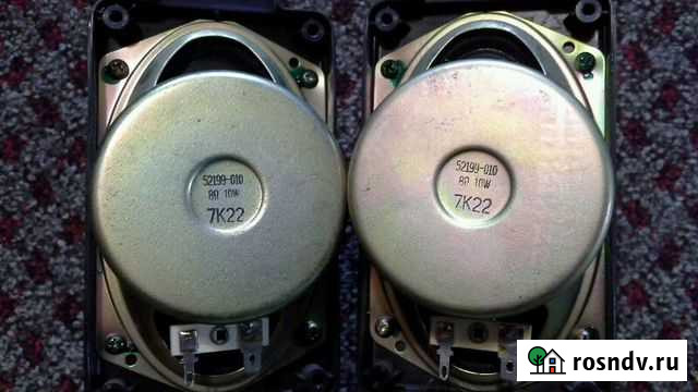 Динамик Саранск - изображение 1