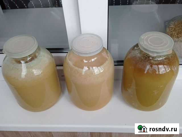 Мед Бирск - изображение 1