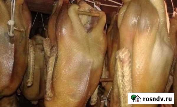 Гусь вяленый Халяль Казань - изображение 1