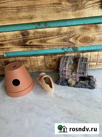 Для аквариума Калининград - изображение 1