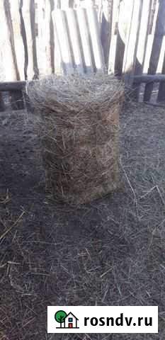 Продам сено в тюках,солому Чита - изображение 1