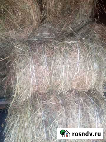 Сено Мыски - изображение 1