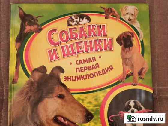 Книга детская энциклопедия Великий Новгород