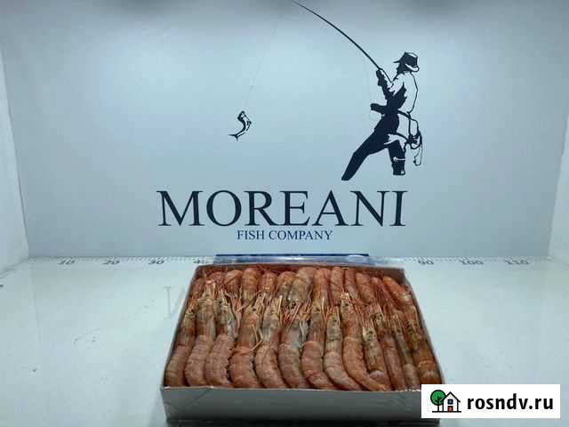 Лангустины L2 с/г с/м Сочи - изображение 1