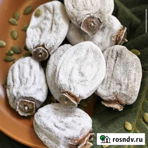 Хурма армения крупная Тольятти - изображение 1