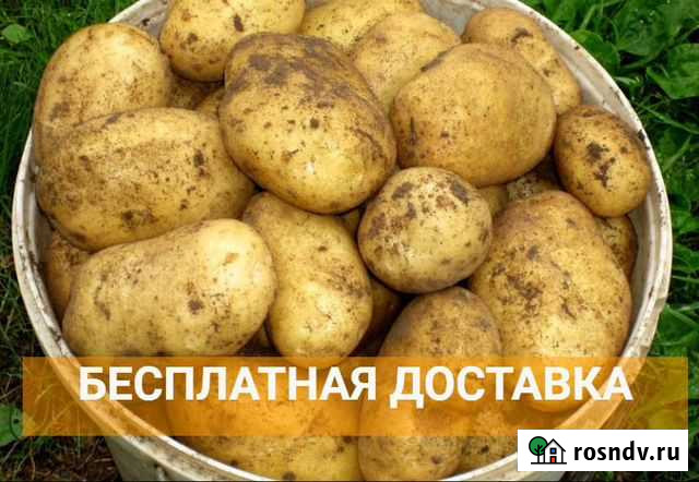 Картофель с бесплатной доставкой по городу Улан-Удэ - изображение 1