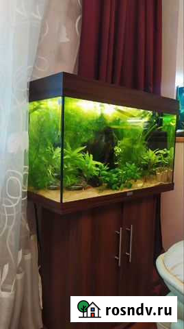 Аквариум 125л juwel Красноярск - изображение 1