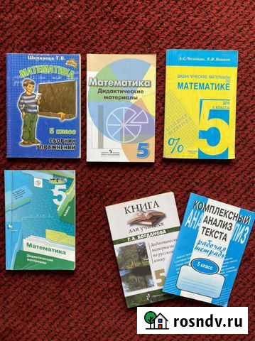 Дидактика 5 класс Рязань - изображение 1