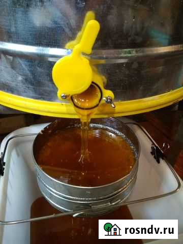 Мед Борисоглебск - изображение 1