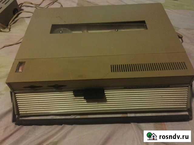 Бабинник Дельфин Кострома - изображение 1