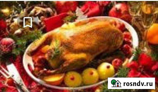 Утка Калининград - изображение 1