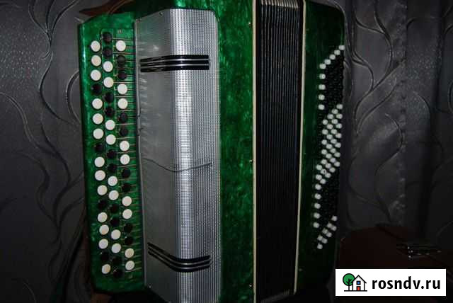 Баян вологодский Вологда - изображение 1