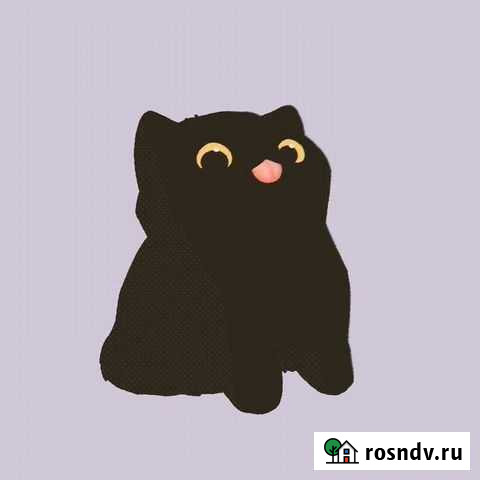 Тренер по бравл старс бесплатно(стаж 4 года) Углегорск - изображение 1