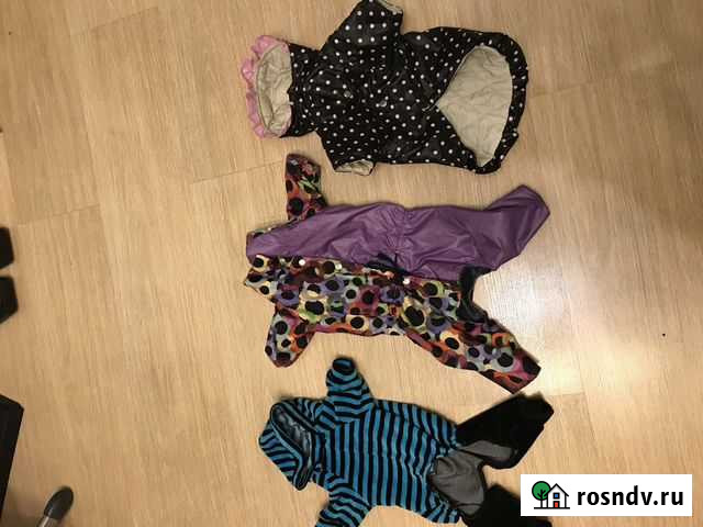 Вещи для собаки той терьер Псков - изображение 1