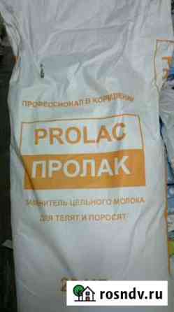 Зцм - пролак 16 Волхов
