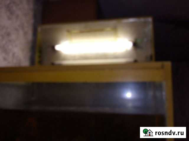 Аквариум Екатеринбург - изображение 1