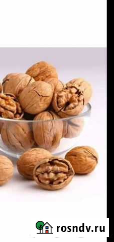 Грецкий орех Черкесск - изображение 1
