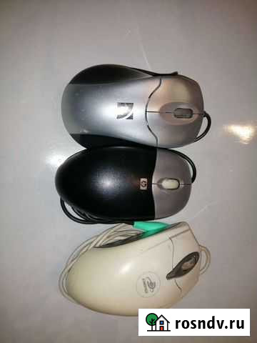 Компьютерная мышь Брянск - изображение 1