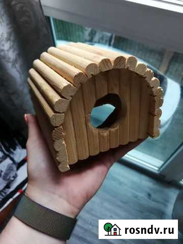 Дом для хомяка Севастополь - изображение 1