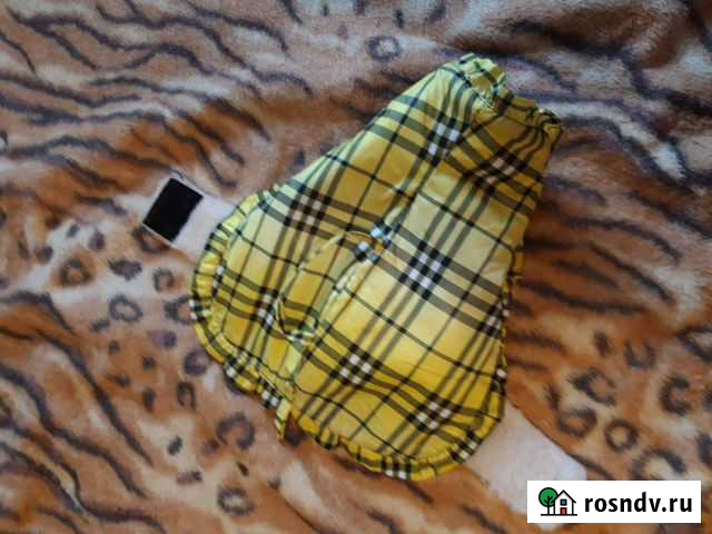 Попона Пермь - изображение 1