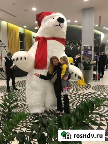 Аэромедведь, Ростовой медведь, Белый медведь Москва - изображение 1