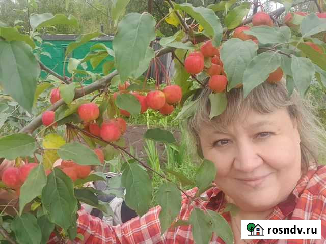 Услуги репетитора русский язык Нижневартовск - изображение 1