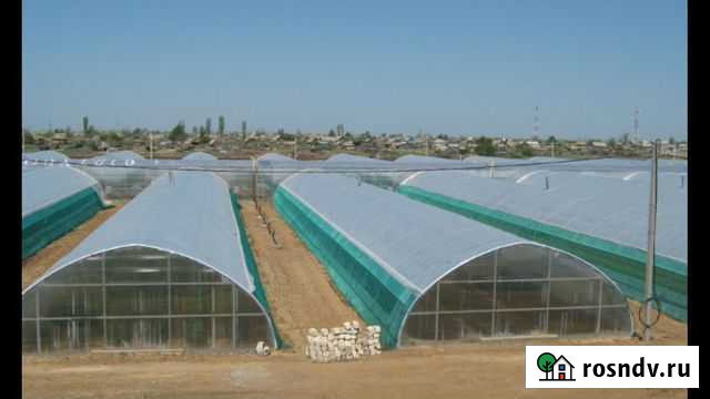 Инвестиции в тепличный комплекс Балашиха - изображение 1