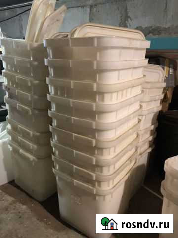 Контейнеры с крышкой (пластик пищевой) из под Мёда Красноярск - изображение 1