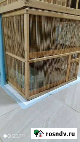 Кролик Кореновск - изображение 1