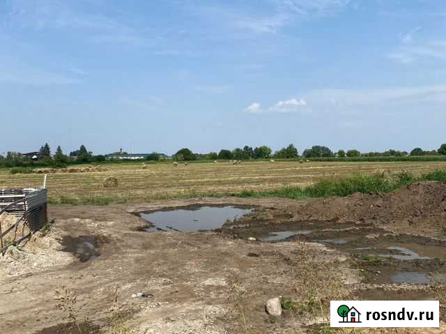 Сено Нальчик - изображение 1