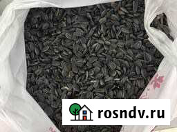 Семечка подсолнечника Мелеуз - изображение 1