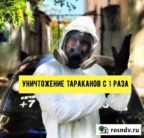 Уничтожение тараканов клопов обработка дезинсекция Екатеринбург - изображение 1