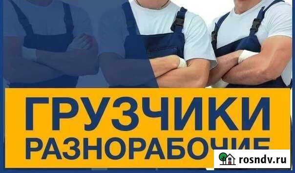 Грузчики и разнорабочие Михайловка - изображение 1