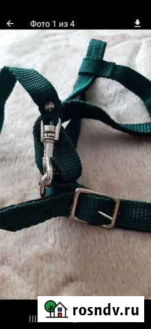 Шлейка с поводком Ульяновск - изображение 1