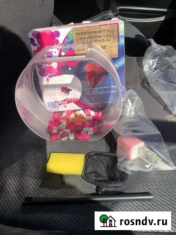 Аквариум Красноярск - изображение 1