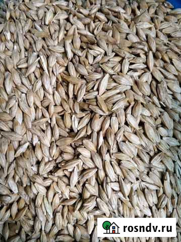 Просо, пшеница,ячмень,горох, рожь, подсолнечник (с Мелеуз - изображение 1