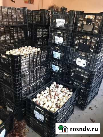 Ящики Белореченск - изображение 1