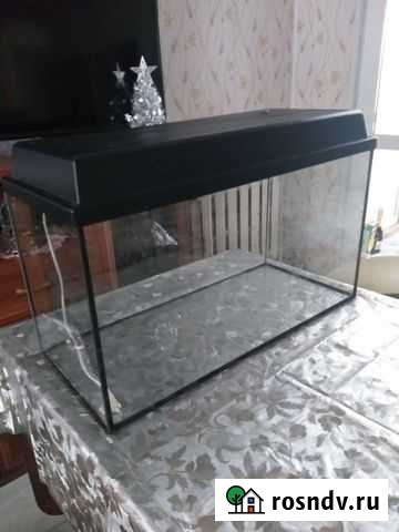 Аквариум Самара - изображение 1