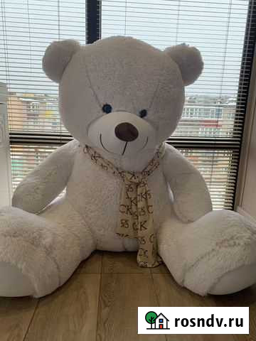 Плюшевый медведь новый Петропавловск-Камчатский - изображение 1