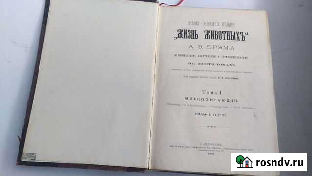Учебник Брэм Жизнь животных 1894 год, том 1 Курган - изображение 1