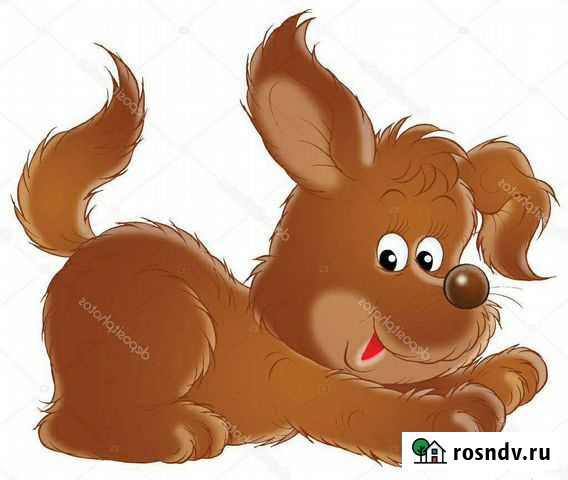 Занятия и тренировки для собак мелких пород Ульяновск - изображение 1