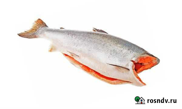 Форель,палтус,кижуч,лосось,сибас,дорадо (рыба,море Симферополь - изображение 1