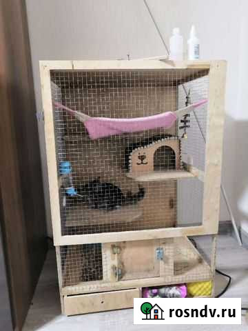 Клетка во рту котлетка Брянск - изображение 1