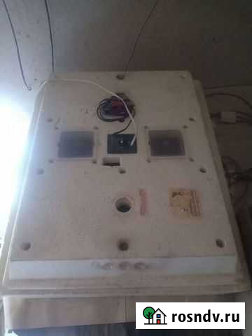 Инкубатор Тамбов - изображение 1