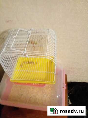 Клетка для грызунов Кемерово - изображение 1