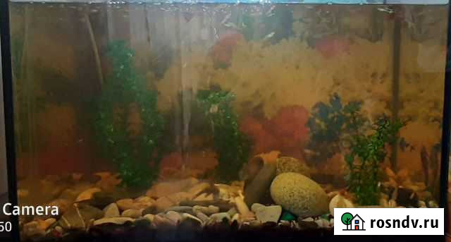 Аквариум 80л(стекло) Брянск - изображение 1